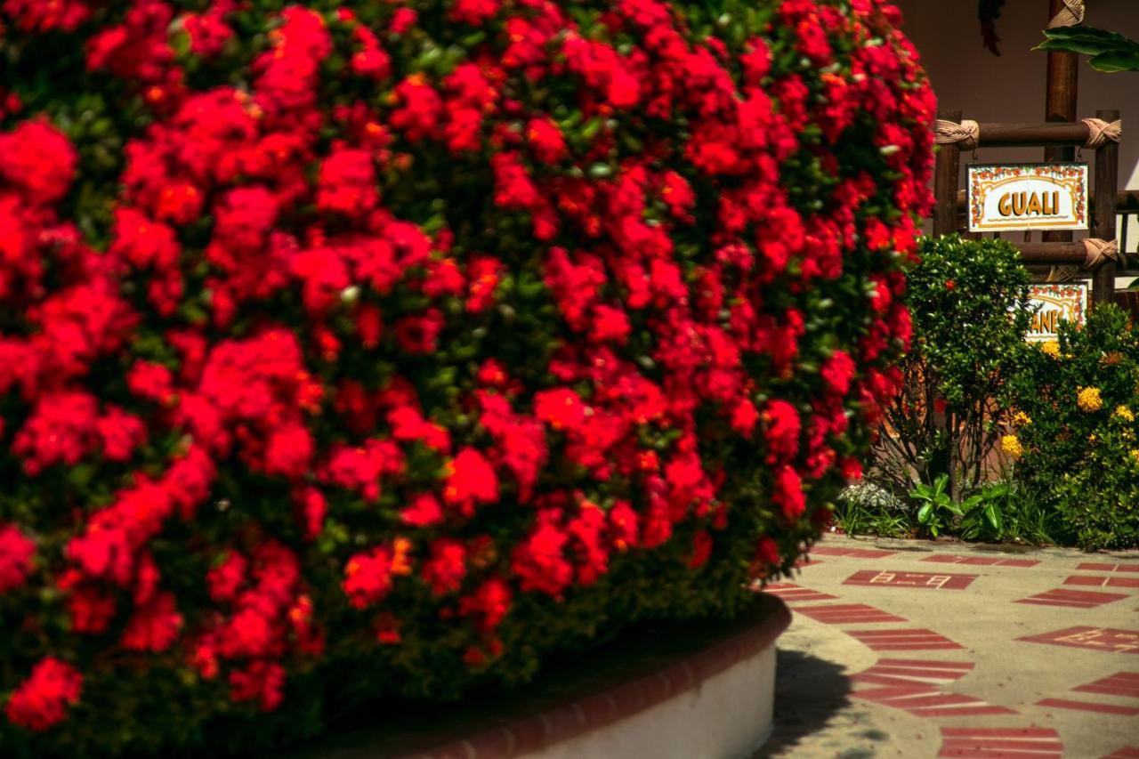 Hosteria Tonusco Campestre Santa Fe de Antioquia Extérieur photo